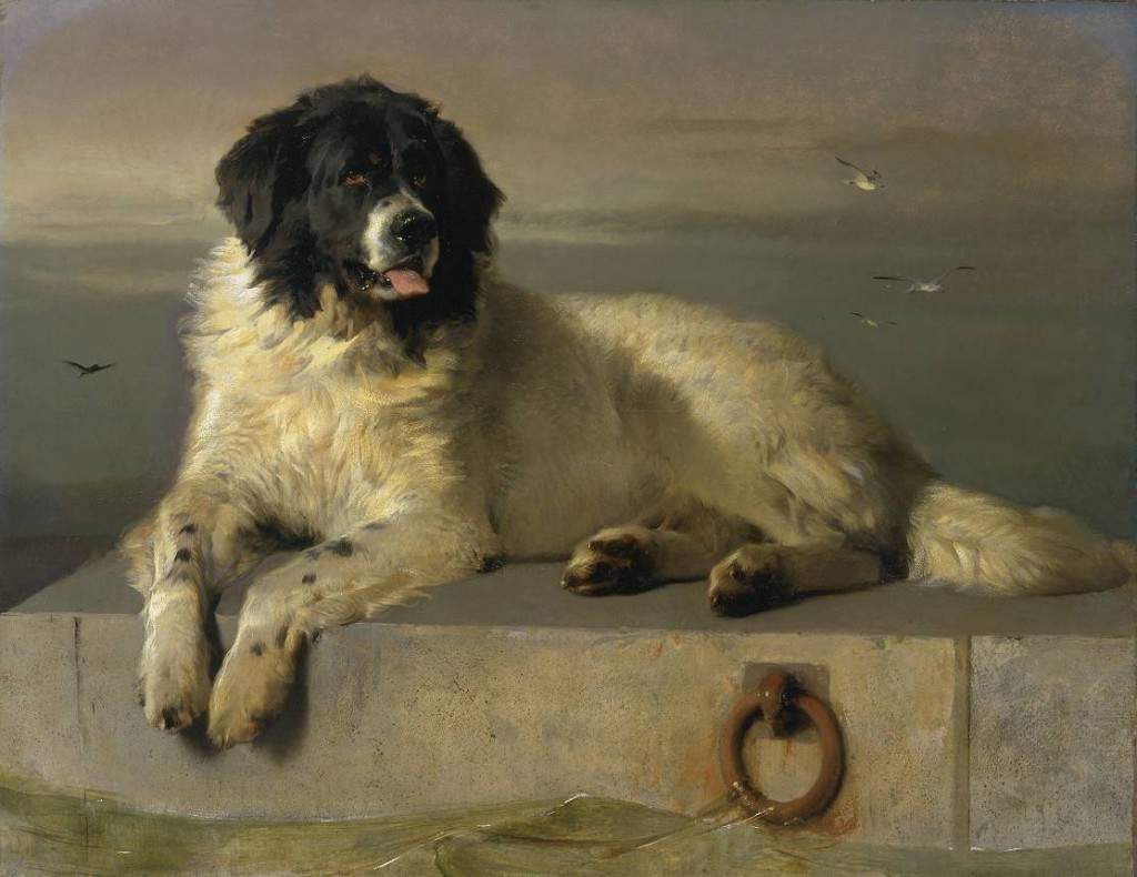 A Distinguished Member of the Humane Society exhibited 1838 by Sir Edwin Henry Landseer 1802-1873