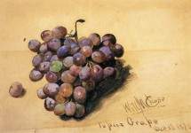 Topaz Grapes 1870