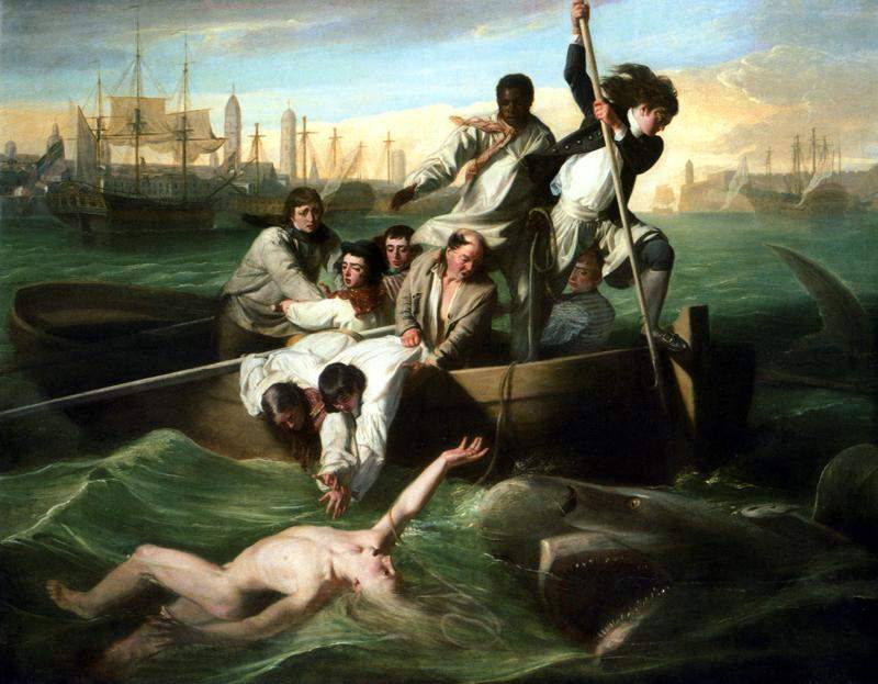 Уотсон и акула 1782