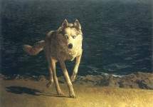 Wolf Dog 1976