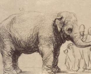 An Elephant — Рембрандт