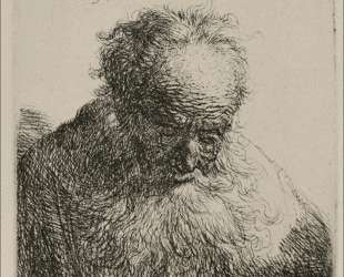 An Old Man with a Large Beard — Рембрандт