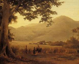 Antilian Landscape, St. Thomas — Камиль Писсарро