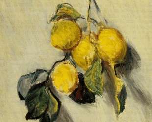 Ветка лимонов — Клод Моне