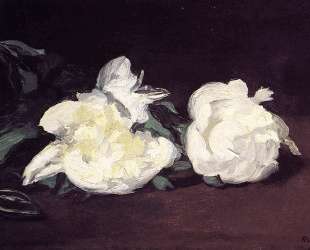 Branch of White Peonies and Secateurs — Эдуард Мане