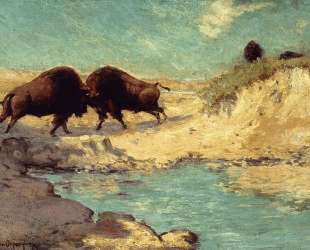 Buffalo Hunt — Роберт Джулиан Ондердонк