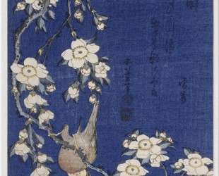 Bullfinch and weeping cherry blossoms — Кацусика Хокусай