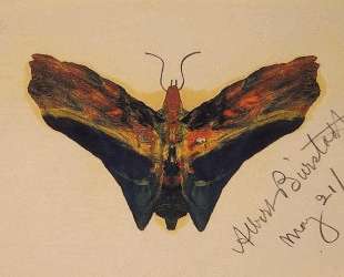 Butterfly (second version) — Альберт Бирштадт