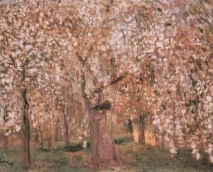 Cherry tree blossoms — Йожеф Рипль-Ронаи