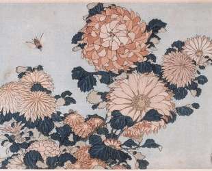 Chrysanthemums and Horsefly — Кацусика Хокусай