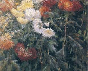 Clump of Chrysanthemums, Garden at Petit Gennevilliers — Гюстав Кайботт