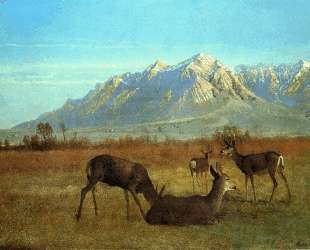 Deer in a Mountain Home — Альберт Бирштадт