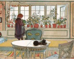 Flowers on the windowsill — Карл Ларссон