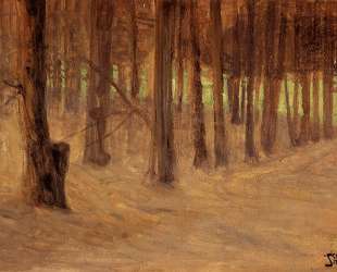 Forest with Sunlit Clearing in the Background — Эгон Шиле