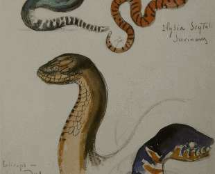 Four studies of snakes — Гюстав Моро