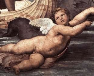 Galatea, detail of putto — Рафаэль Санти