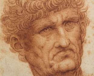 Head of a Man — Леонардо да Винчи