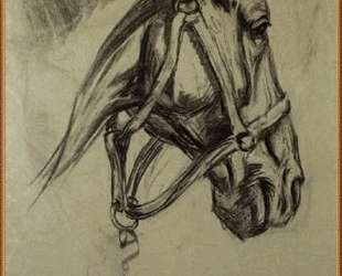 Head of the horse — Франц Марк