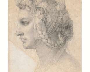 Ideal head of a woman — Микеланджело