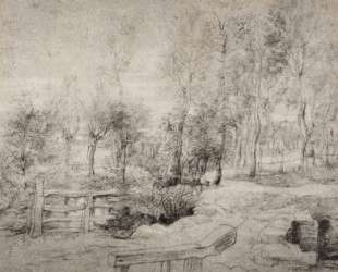 Landscape with a trees — Питер Пауль Рубенс