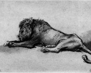 Lion resting — Рембрандт