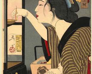 Looking dark: the appearance of a wife during the Meiji era — Цукиока Ёситоси