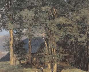 Maple trees near Ischl — Фердинанд Георг Вальдмюллер
