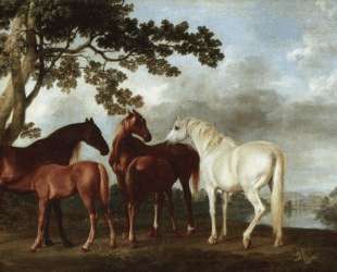Mares and Foals in a River Landscape — Джордж Стаббс