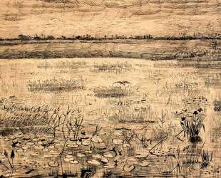 Marsh with Water Lillies — Винсент Ван Гог