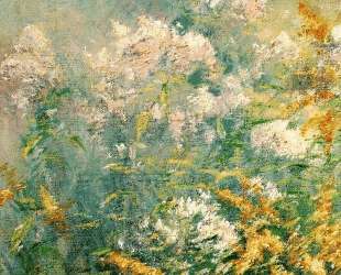 Meadow Flowers (Golden Rod and Wild Aster) — Джон Генри Твахтман (Tуоктмен)