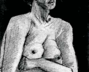 Nude Woman, Half-Length — Винсент Ван Гог