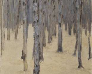 Pine forest in winter — Коломан Мозер
