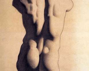 Plaster male torso — Пабло Пикассо