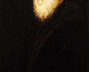 Portrait of a White Bearded Man — Тинторетто
