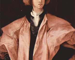 Portrait of a Young Man (Alessandro de Medici ) — Джакопо Понтормо