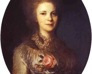 Portrait of V. N.Surovtseva — Фёдор Рокотов
