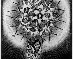 Prickly Flower — Мауриц Корнелис Эшер