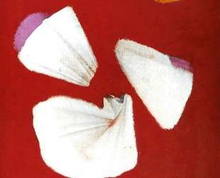 Shells and Flowers — Макс Эрнст