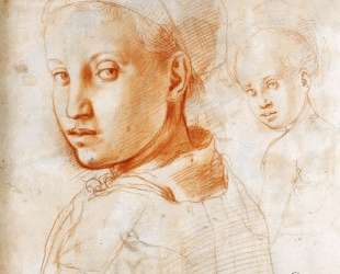 Study of a Boy Turning His Head — Джакопо Понтормо