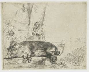 The hog — Рембрандт