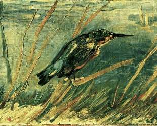 The Kingfisher — Винсент Ван Гог