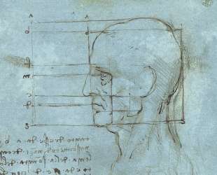 The proportions of the head — Леонардо да Винчи