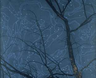 The Starry Sky — Константин Васильев