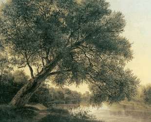 Tree by the brook — Фердинанд Георг Вальдмюллер