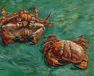 Two Crabs — Винсент Ван Гог