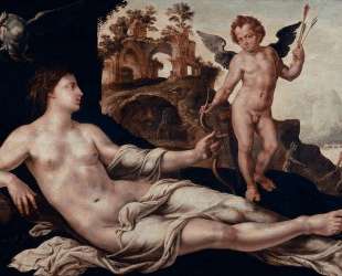 Venus and Amor — Мартен ван Хемскерк