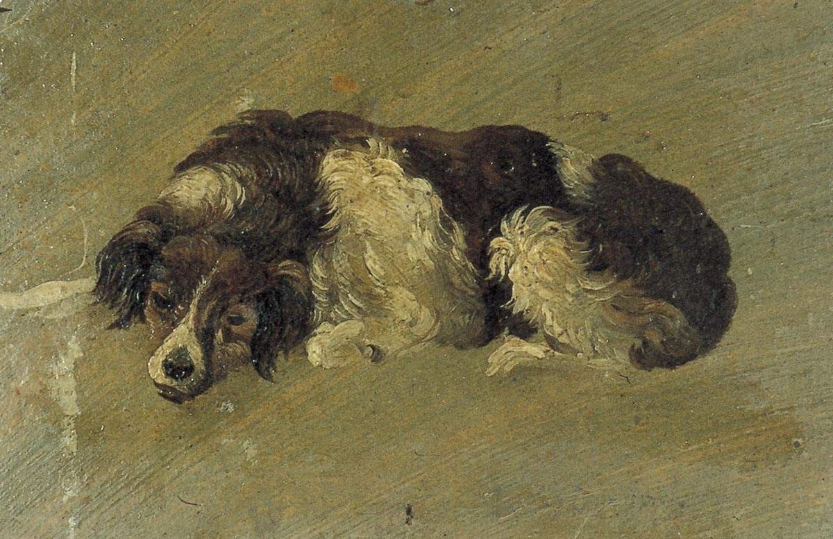 A dog — Тео ван Дусбург
