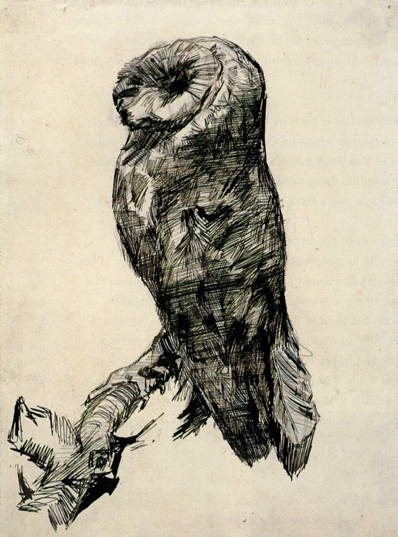 Barn Owl Viewed from the Side — Винсент Ван Гог