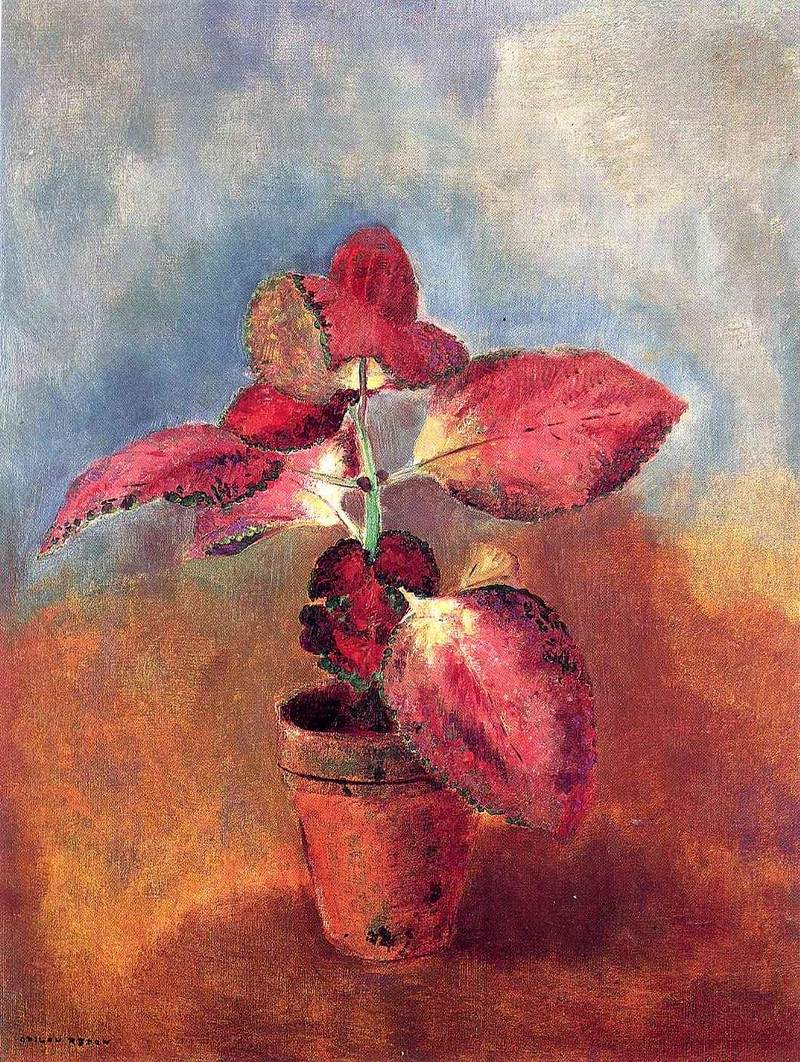 Begonia in a Pot — Одилон Редон
