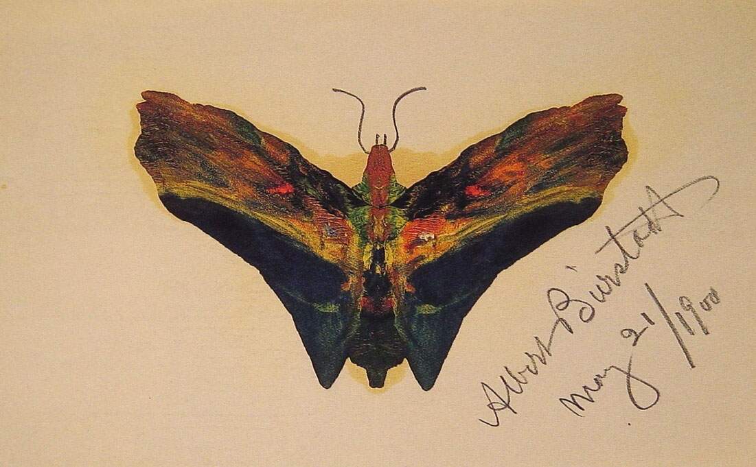 Butterfly (second version) — Альберт Бирштадт